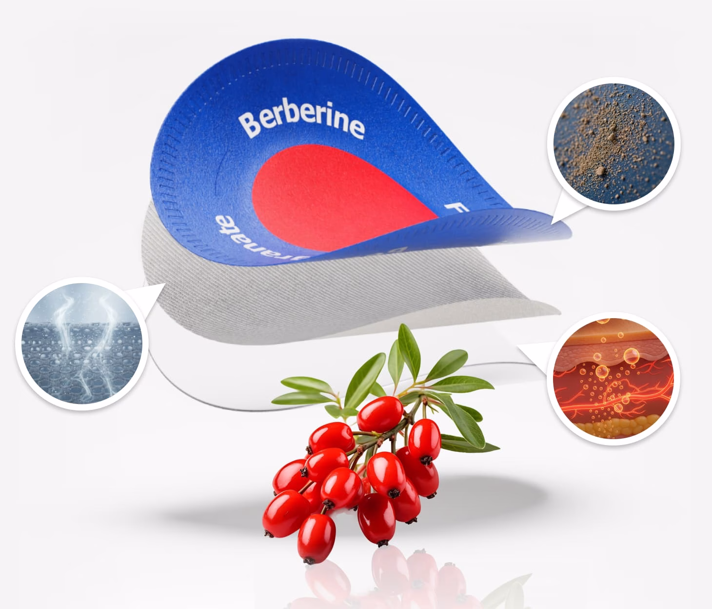 Purisaki Berberine Patches: Αξιολόγηση, τιμή, συστατικά & πώς να τα χρησιμοποιήσετε Purisaki Berberine Patches - 3